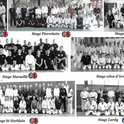 Stage Kyusho Dynamic Training 